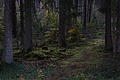 DSC06498 - Bernhard Saalfeld