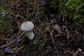 DSC06509 - Bernhard Saalfeld