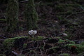 DSC06511 - Bernhard Saalfeld