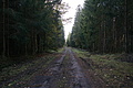 DSC06512 - Bernhard Saalfeld
