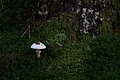 DSC06513 - Bernhard Saalfeld