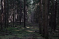 DSC06516 - Bernhard Saalfeld