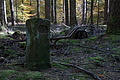 DSC06517 - Bernhard Saalfeld