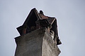 DSC06518 - Bernhard Saalfeld