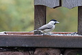 DSC06534 - Bernhard Saalfeld