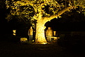 DSC06551 - Bernhard Saalfeld