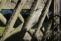 DSC06564 - Bernhard Saalfeld