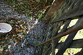 DSC06566 - Bernhard Saalfeld