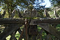 DSC06569 - Bernhard Saalfeld