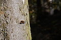 DSC06577 - Bernhard Saalfeld