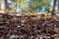 DSC06578 - Bernhard Saalfeld