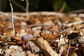 DSC06580 - Bernhard Saalfeld