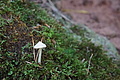 DSC06584 - Bernhard Saalfeld