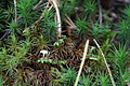 DSC06585 - Bernhard Saalfeld