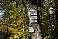 DSC06586 - Bernhard Saalfeld