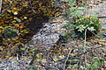 DSC06587 - Bernhard Saalfeld