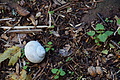 DSC06591 - Bernhard Saalfeld