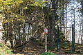 DSC06592 - Bernhard Saalfeld