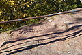 DSC06608 - Bernhard Saalfeld