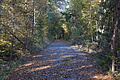 DSC06618 - Bernhard Saalfeld