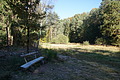DSC06619 - Bernhard Saalfeld