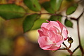 DSC06625 - Bernhard Saalfeld