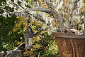 DSC06626 - Bernhard Saalfeld