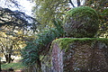 DSC06634 - Bernhard Saalfeld