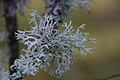 DSC06635 - Bernhard Saalfeld