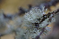 DSC06636 - Bernhard Saalfeld