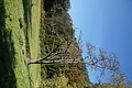 DSC06638 - Bernhard Saalfeld