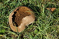 DSC06642 - Bernhard Saalfeld