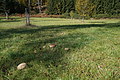 DSC06646 - Bernhard Saalfeld