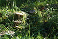DSC06650 - Bernhard Saalfeld