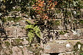 DSC06656 - Bernhard Saalfeld