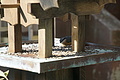 DSC06657 - Bernhard Saalfeld