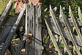 DSC06658 - Bernhard Saalfeld