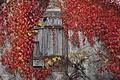 DSC06669 - Bernhard Saalfeld