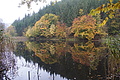 DSC06670 - Bernhard Saalfeld