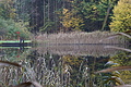 DSC06672 - Bernhard Saalfeld