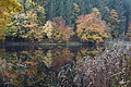 DSC06673 - Bernhard Saalfeld