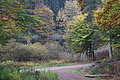 DSC06674 - Bernhard Saalfeld