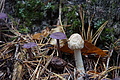 DSC06675 - Bernhard Saalfeld