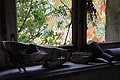 DSC06679 - Bernhard Saalfeld
