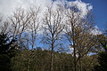DSC06711 - Bernhard Saalfeld