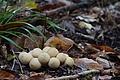 DSC06712 - Bernhard Saalfeld
