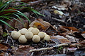 DSC06713 - Bernhard Saalfeld
