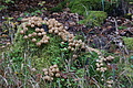 DSC06714 - Bernhard Saalfeld