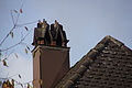 DSC06717 - Bernhard Saalfeld