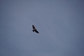 DSC06718 - Bernhard Saalfeld